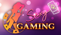 Sexy Gaming คาสิโน